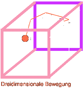 3D - movements